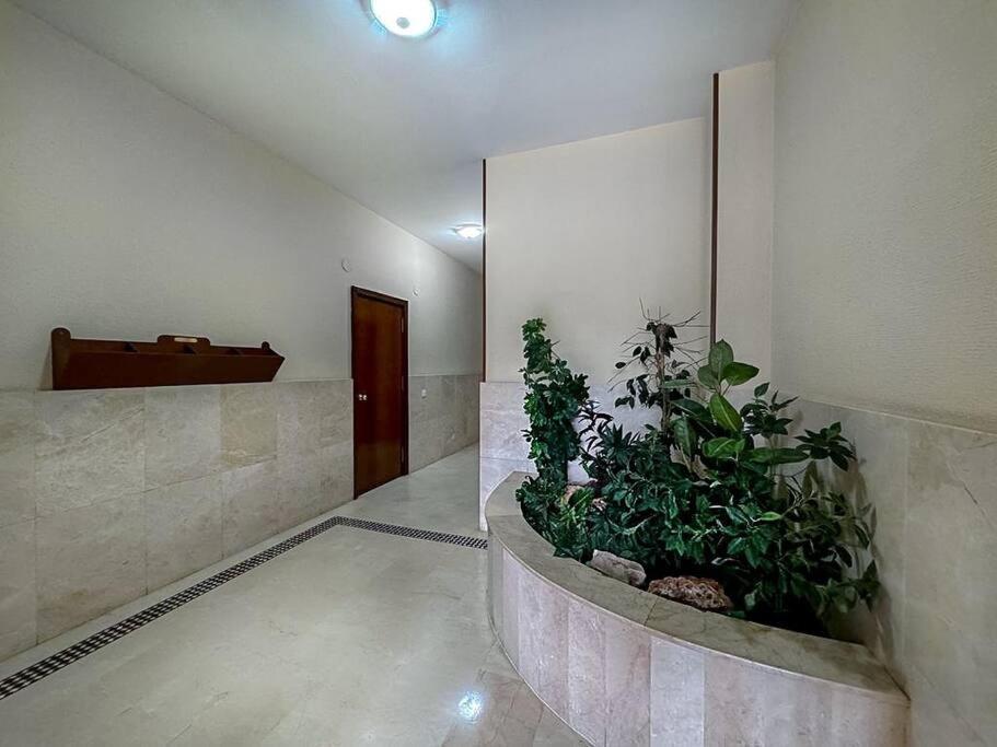 Apartamento En La Estacion De Trenes Jerez de la Frontera Ngoại thất bức ảnh